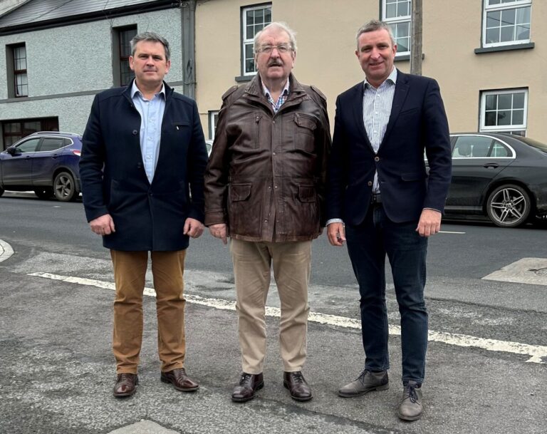 Work progressing on county Limerick wastewater treatment plant