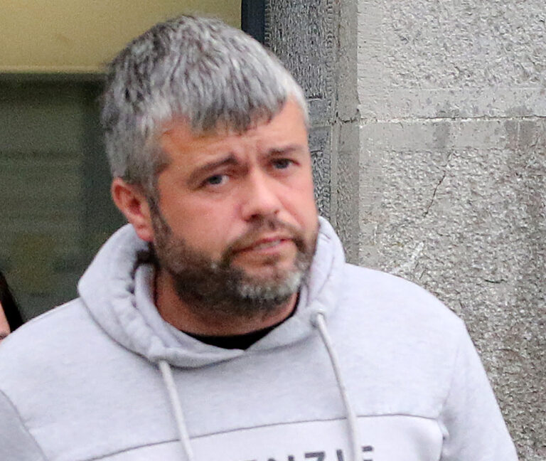 Court hears Limerick man convicted of animal neglect offences was trying to nurse them back to health