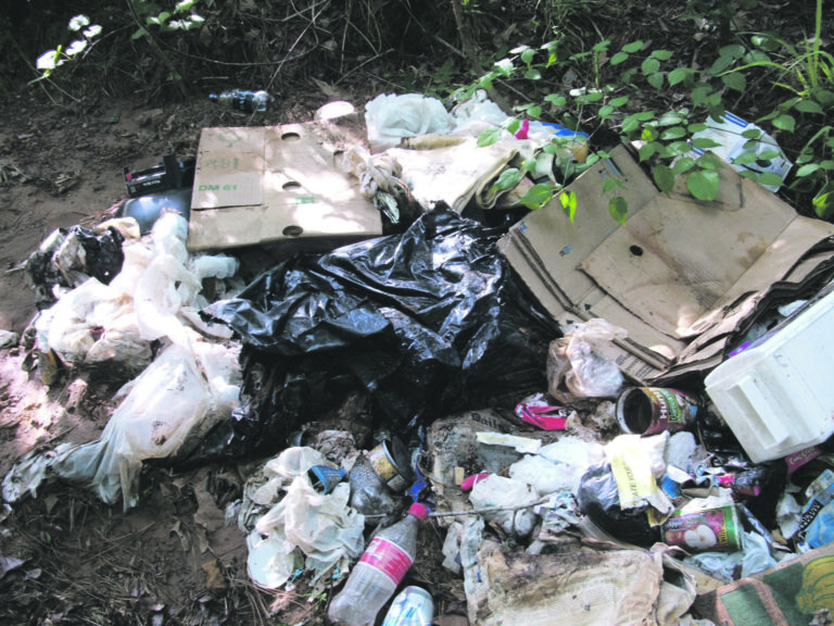 Total number of litter fines issued so far this year in Limerick revealed