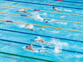 people in swimming pool