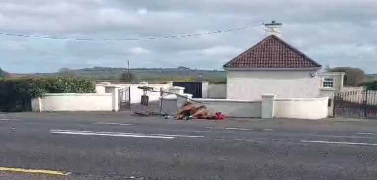 Gardaí investigating dead horse abandoned after sulky race on St Patrick’s Day