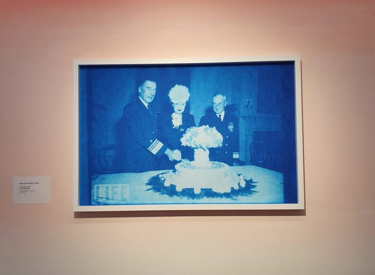 Limerick artist’s work on display in Australia