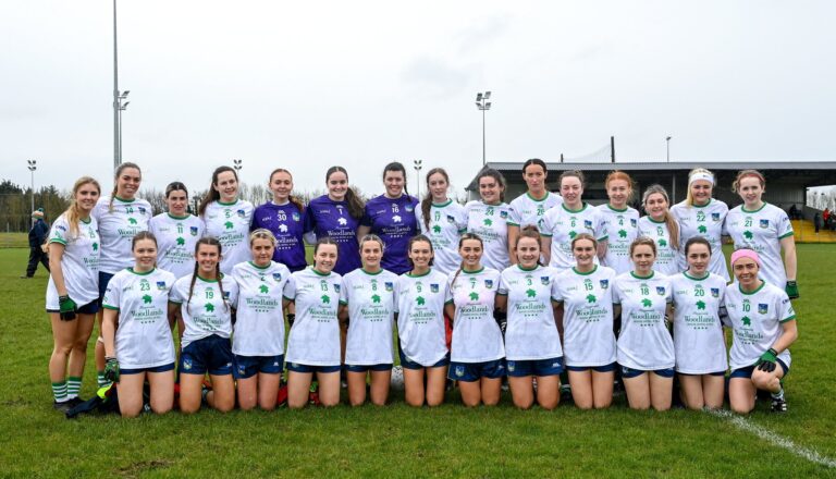 Limerick earn National League promotion