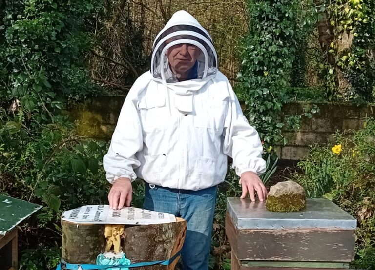 Limerick beekeeping course to explain the buzz around ‘fake honey’