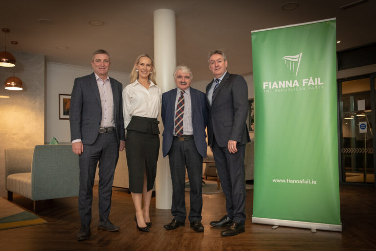 Dee Ryan officially selected as Fianna Fáil DEM candidate