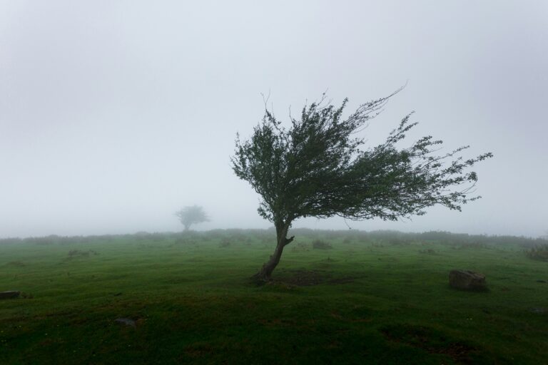 Wind warning issued for Limerick in early morning hours