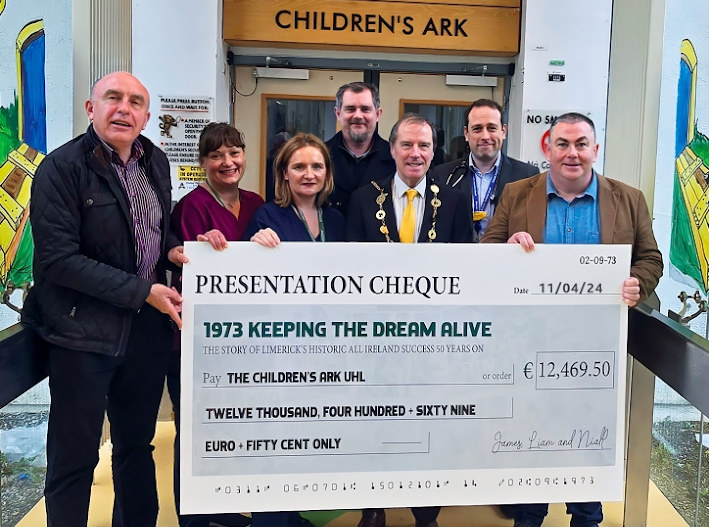 Limerick dream hurling victory raises over €25,000 for charity