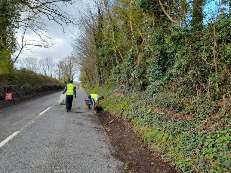 Limerick residents make clean sweep of dangerous road
