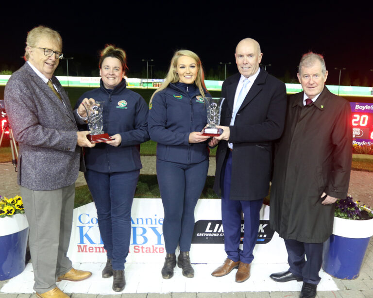Equine stars paraded at Limerick