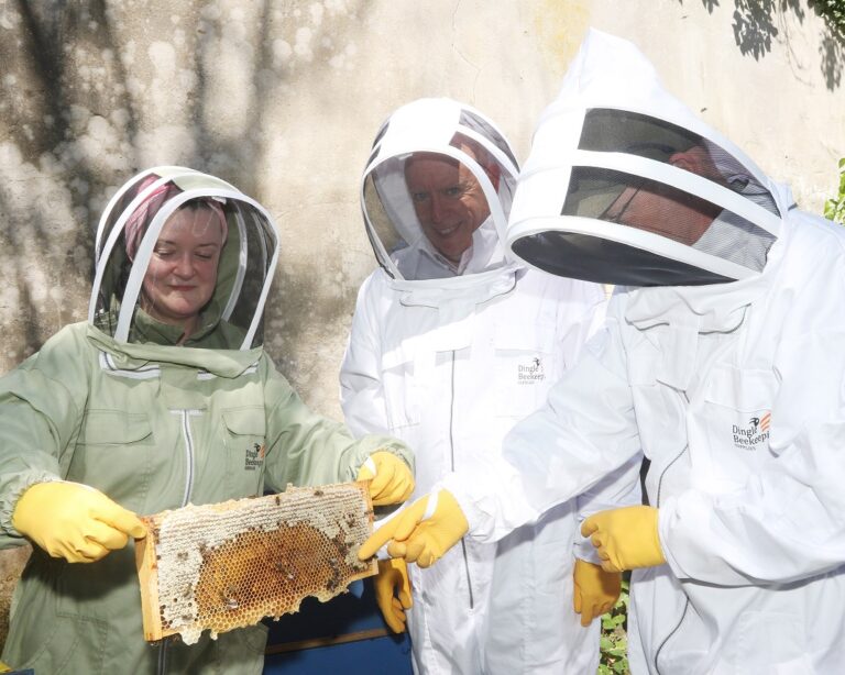 All about bottles, bees, and bubbles at Ballygowan
