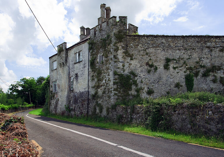 Over €275,000 awarded to Limerick projects to protect archaeological monuments