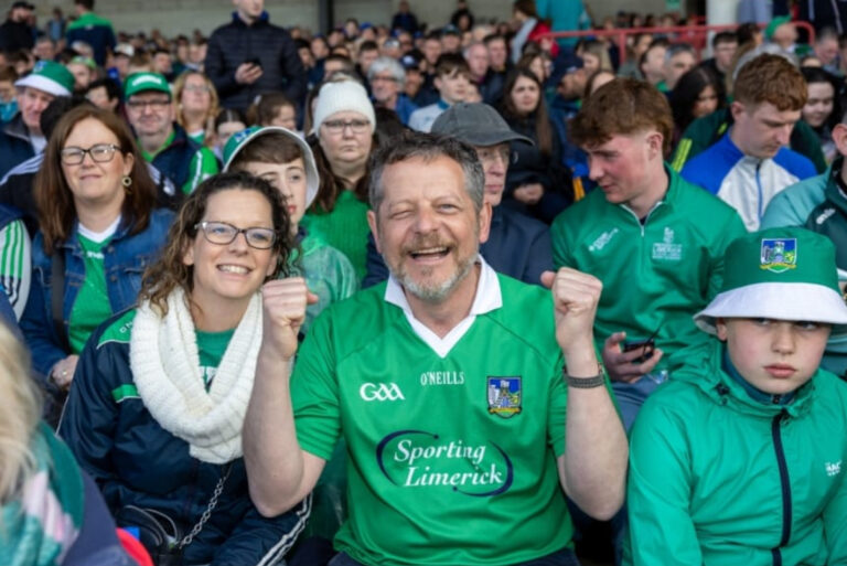 300+ DEM Actions now promised for #More For Limerick