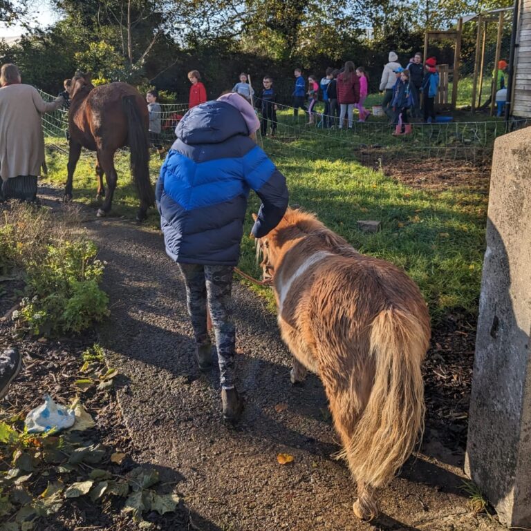 Open call for visitors to Doon Social Farm’s community cafe