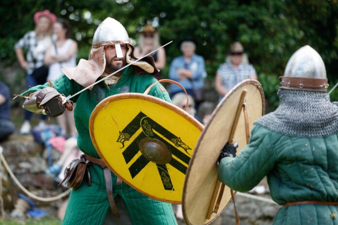Viking2