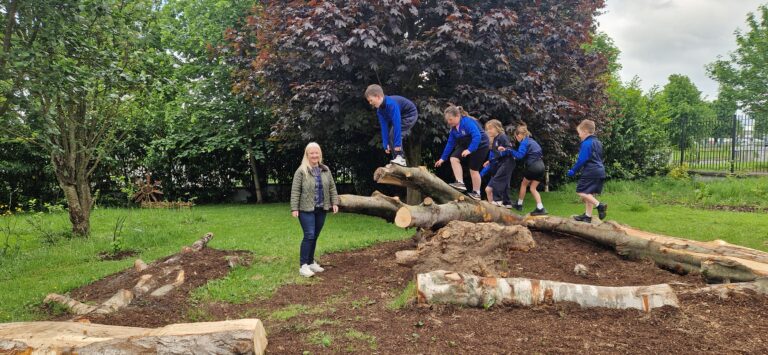 Swings and roundabouts as new playground and pedestrian crossing opened at Limerick school