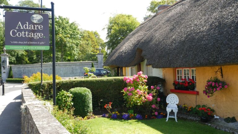 Limerick village website relaunches with new look