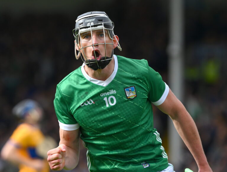 Call for Parkway Roundabout to be renamed for hurling hero Gearóid Hegarty