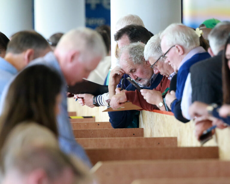 Final mayoral tally sets a strong pace in Limerick race