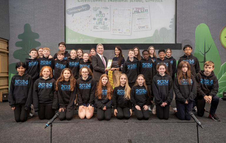 Feeding imaginations wins awards for two Limerick schools