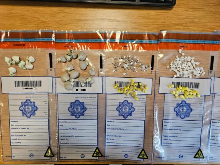 Limerick Gardaí make significant drugs seizure following city centre search