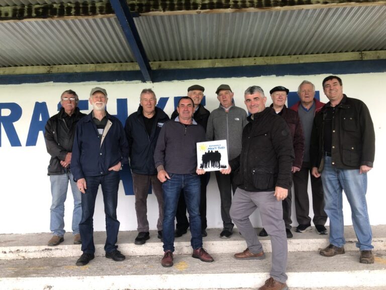 Rathkeale Men’s Shed to host long distance fundraiser for own facility