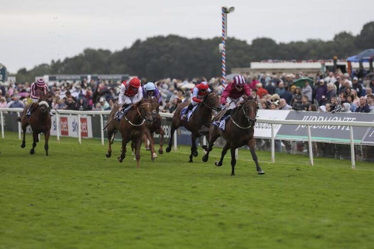 O’Donnell tastes glory at Ebor Meeting