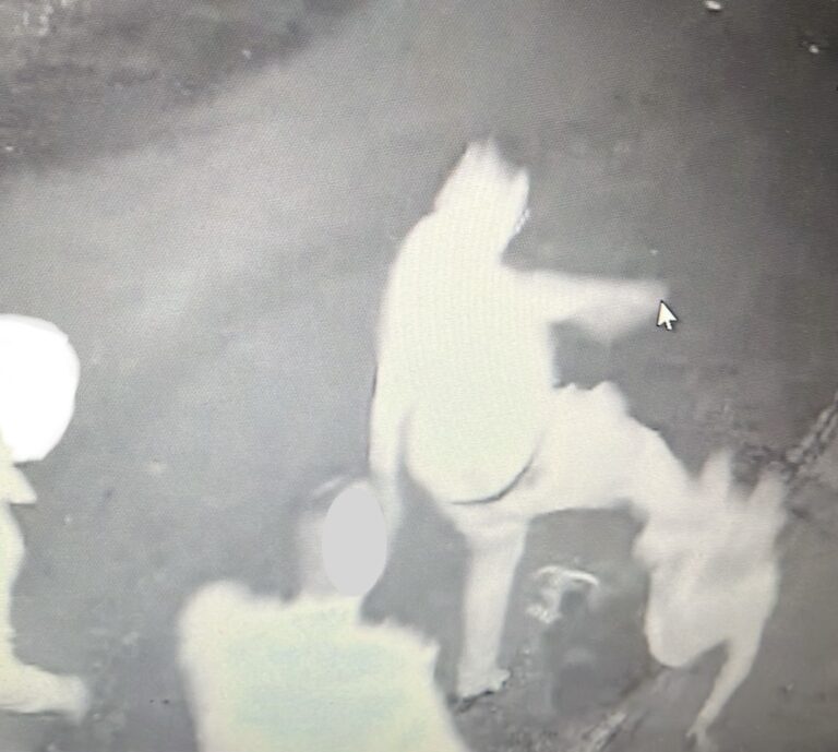 ‘Cowardly’ Limerick man kicked prone victim ‘full force’ in face