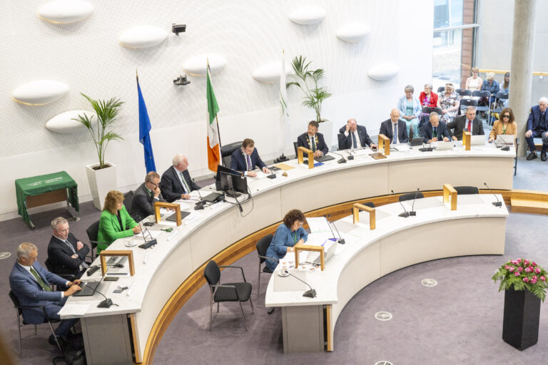 ‘Technical issues’ cause delay in solving board seats impasse