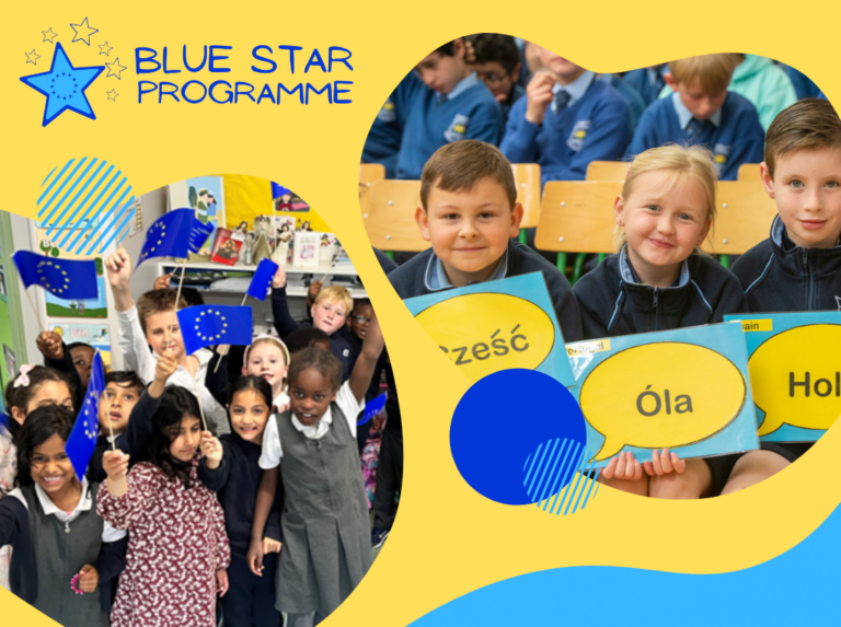 Limerick schools called to wave the EU flag high with educational Blue Star programme