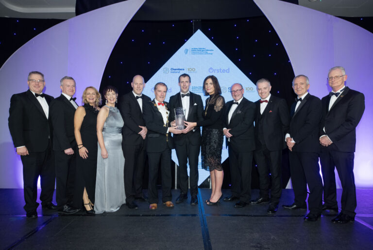 Limerick Council bid for two-in-a-row Local Authority of the Year awards