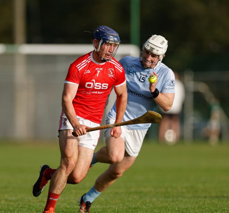 The ‘Well pick up valuable win  in Limerick SHC