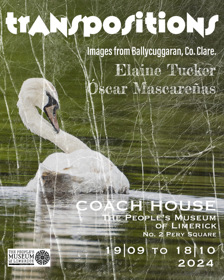 Transpositions – sharing the beauty and intelligence of all beings