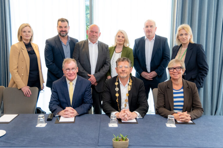 Council says Limerick WHO? Call for health accreditation from world health body