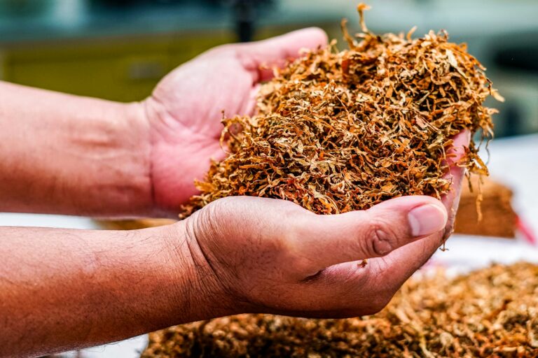 Special talk on the history of Irish tobacco to take place in Rathkeale