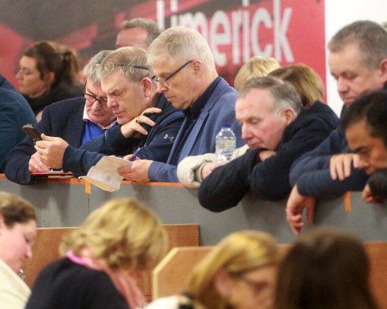 Race for fourth seat in Limerick City hots up after count eight