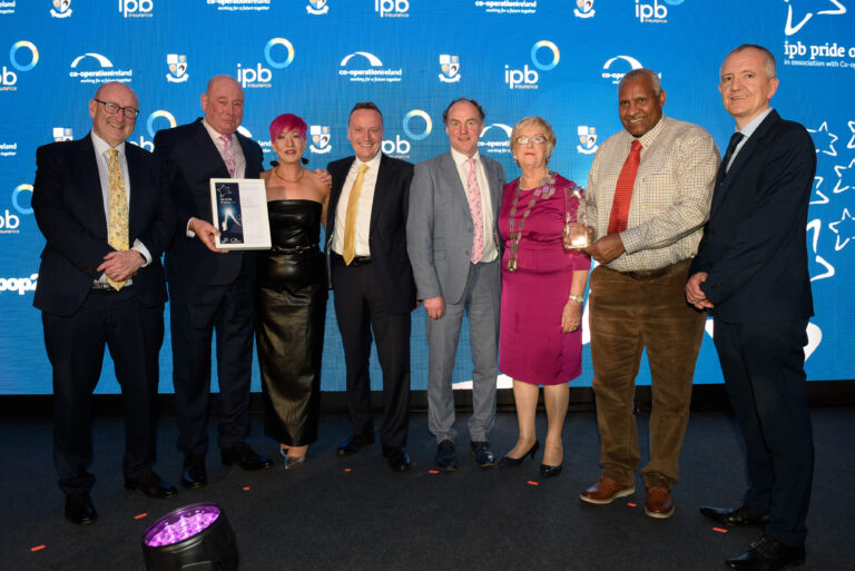 Three Limerick community groups honoured at Pride of Place awards