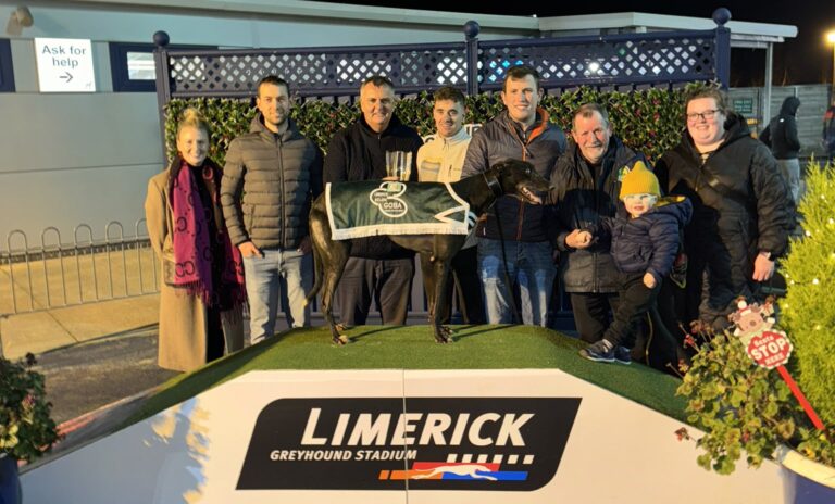Successful Sunday Racing at Limerick