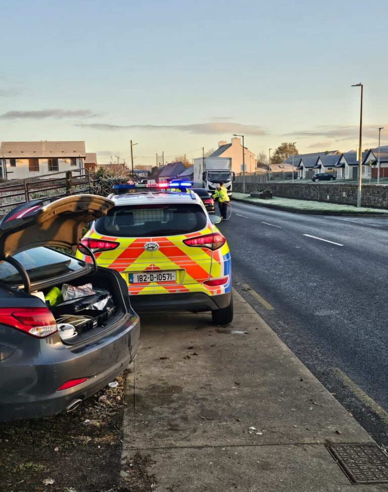 34 arrests in Garda swoop in Kilmallock