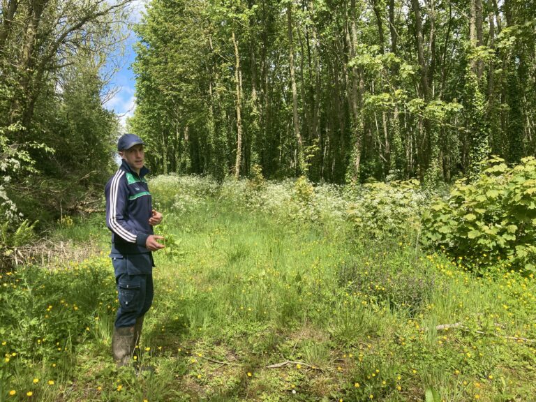 Limerick farmers give practical advice on farming for nature