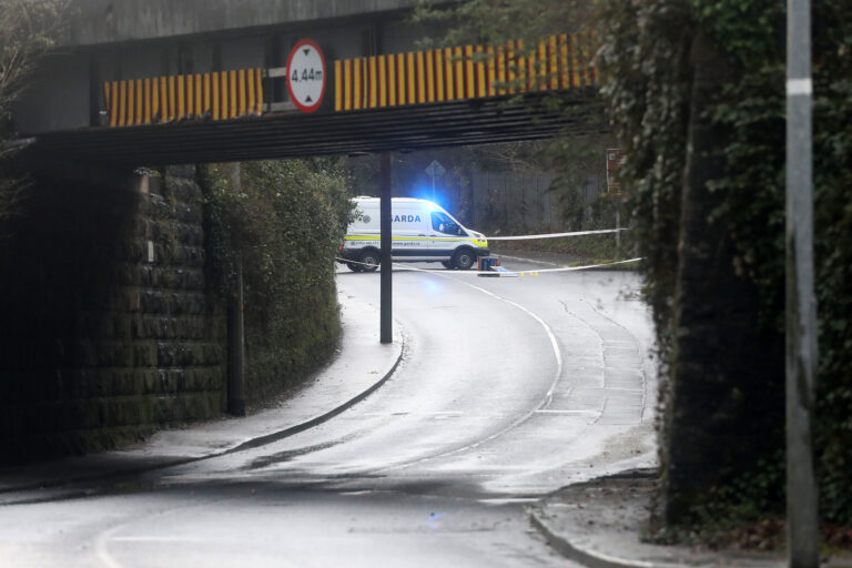 Gardaí appeal for witnesses as biker in critical condition following Kilmallock Road incident