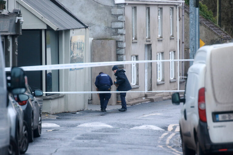 UPDATE: Woman killed in hit and run in Rathkeale