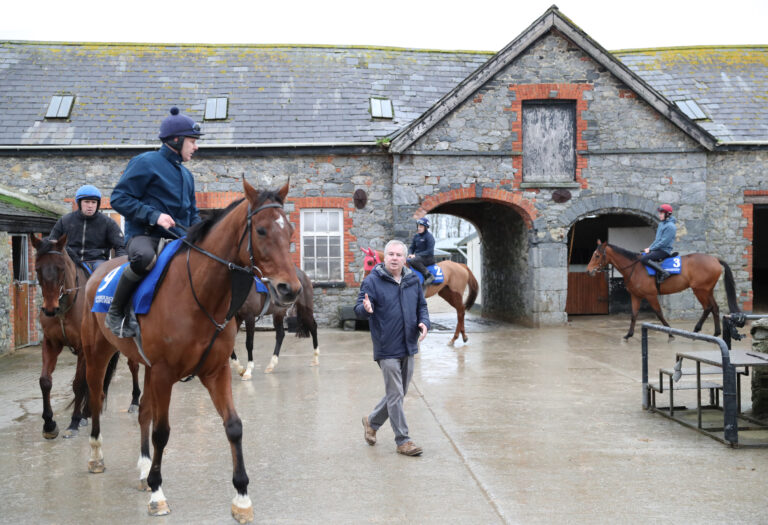 Crowds set to flock to Limerick Races