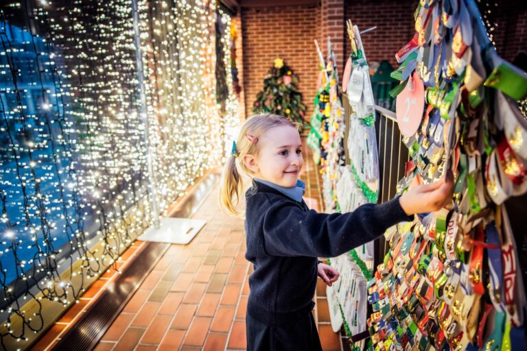 Limerick schools awarded for tree-mendous festive displays