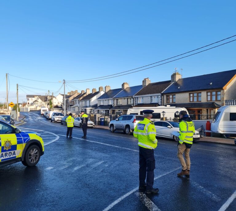 33 arrested in Garda ‘day of action’ in Rathkeale
