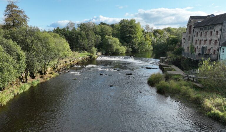 Public consultation to take place on passage of fish at Annacotty Weir