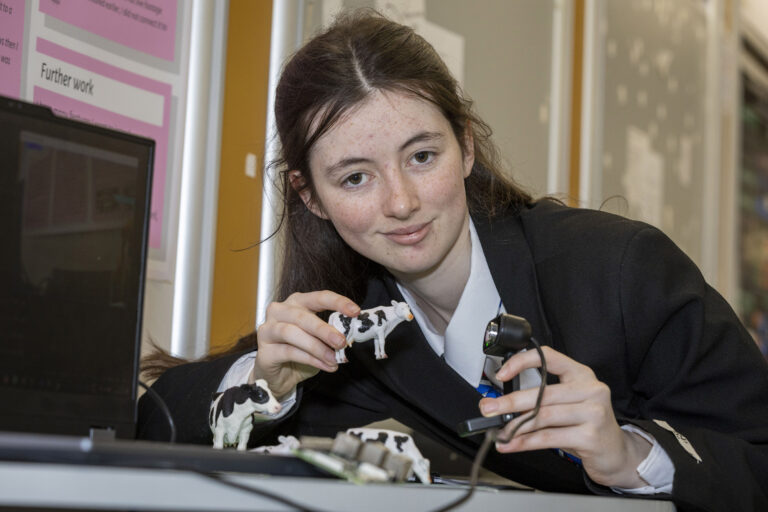 Six Limerick schools take home awards from BT Young Scientist exhibition