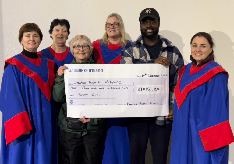 Limerick Gospel Choir raise €1,000 for local charity from fundraising concert
