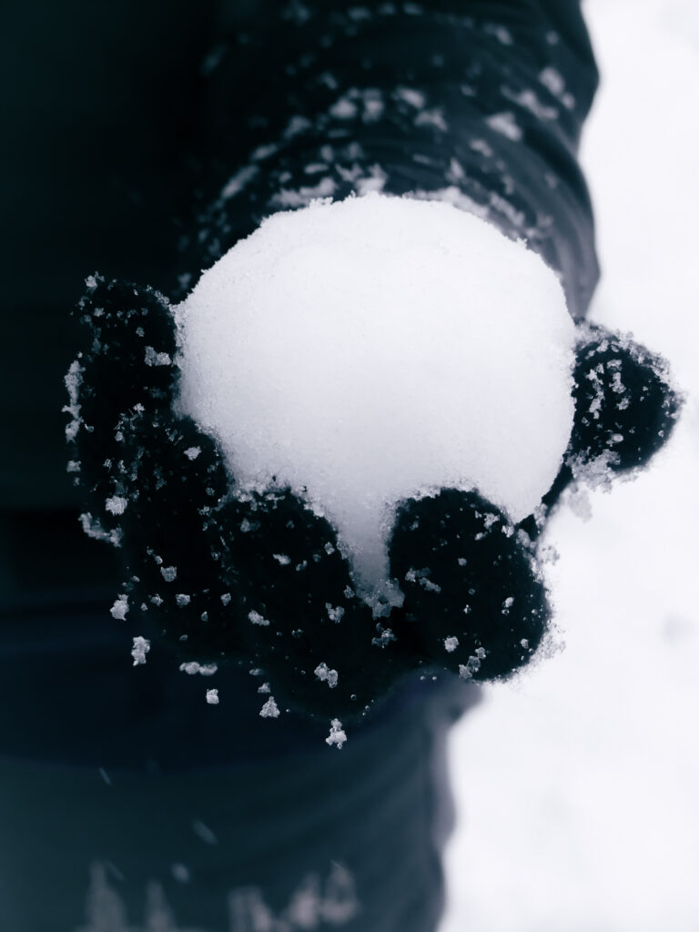 LIMERICK IN PHOTOS: A winter wonderland as snow falls across Limerick