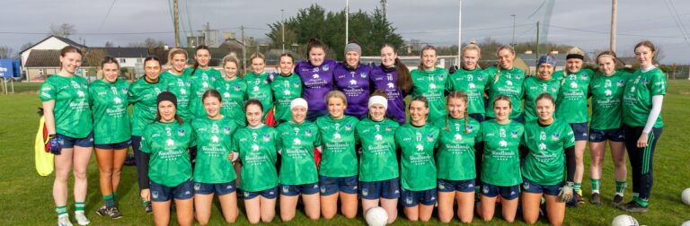 Early NFL point for Limerick