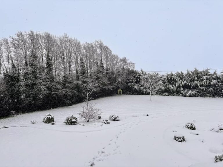 ESB providing for people in West Limerick as treacherous road conditions warned across county